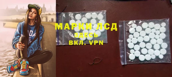 гидра Володарск