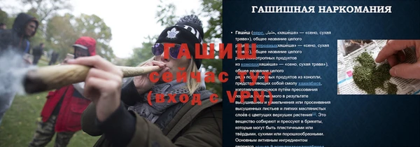 гидра Володарск