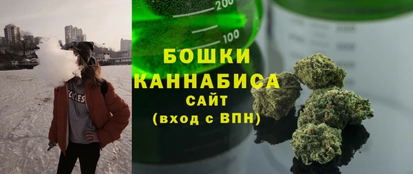гидра Володарск
