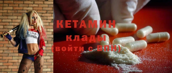 гидра Володарск
